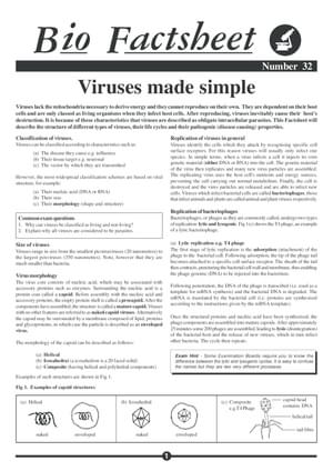 032 Viruses