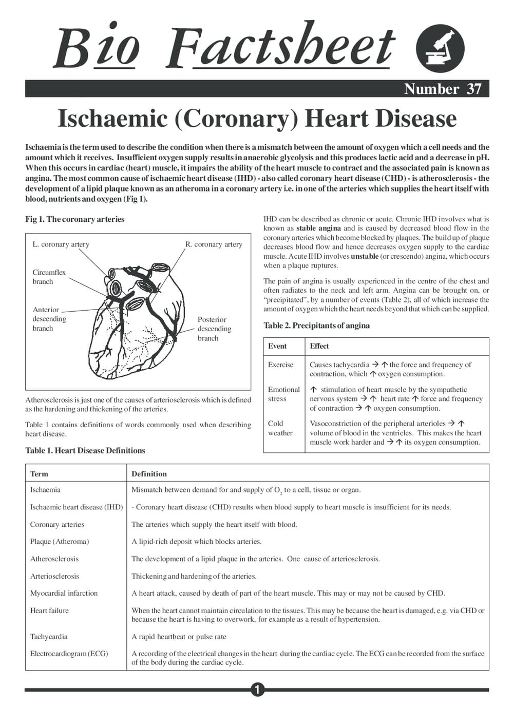 037 Heart Disease