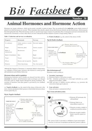 038 Animal Hormone Action