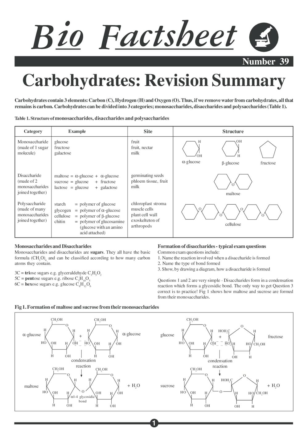 039 Carbohydrates