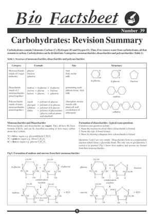 039 Carbohydrates