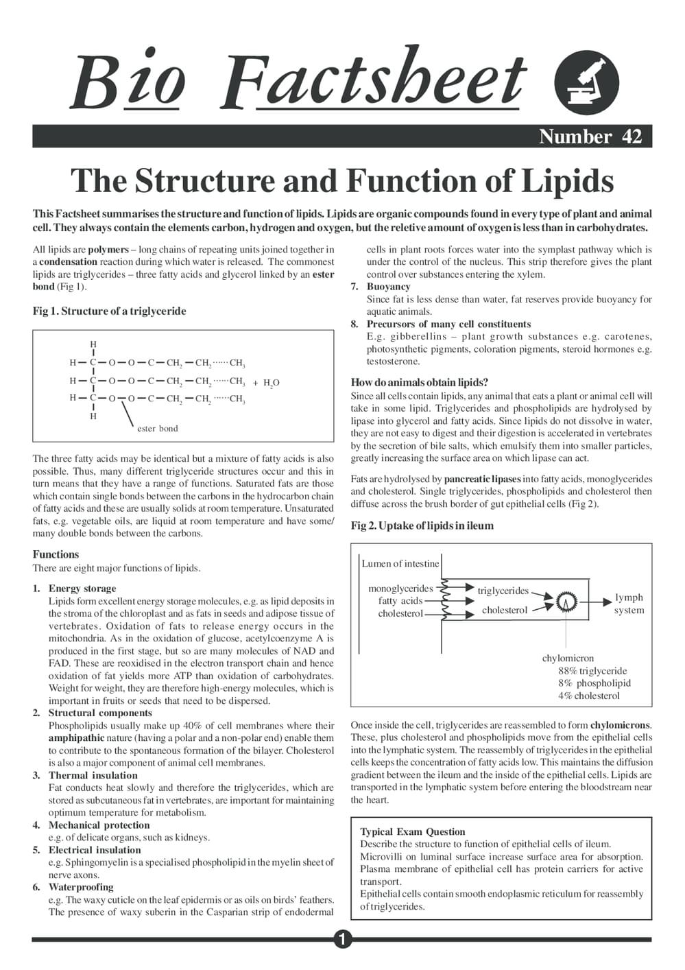 042 Lipids Struc Funct
