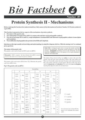 049 Protein Syth Mech