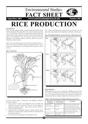 05 Rice Production