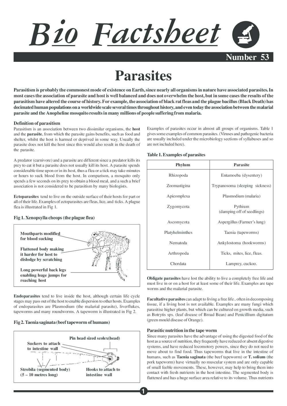 053 Parasites