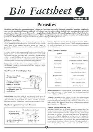 053 Parasites