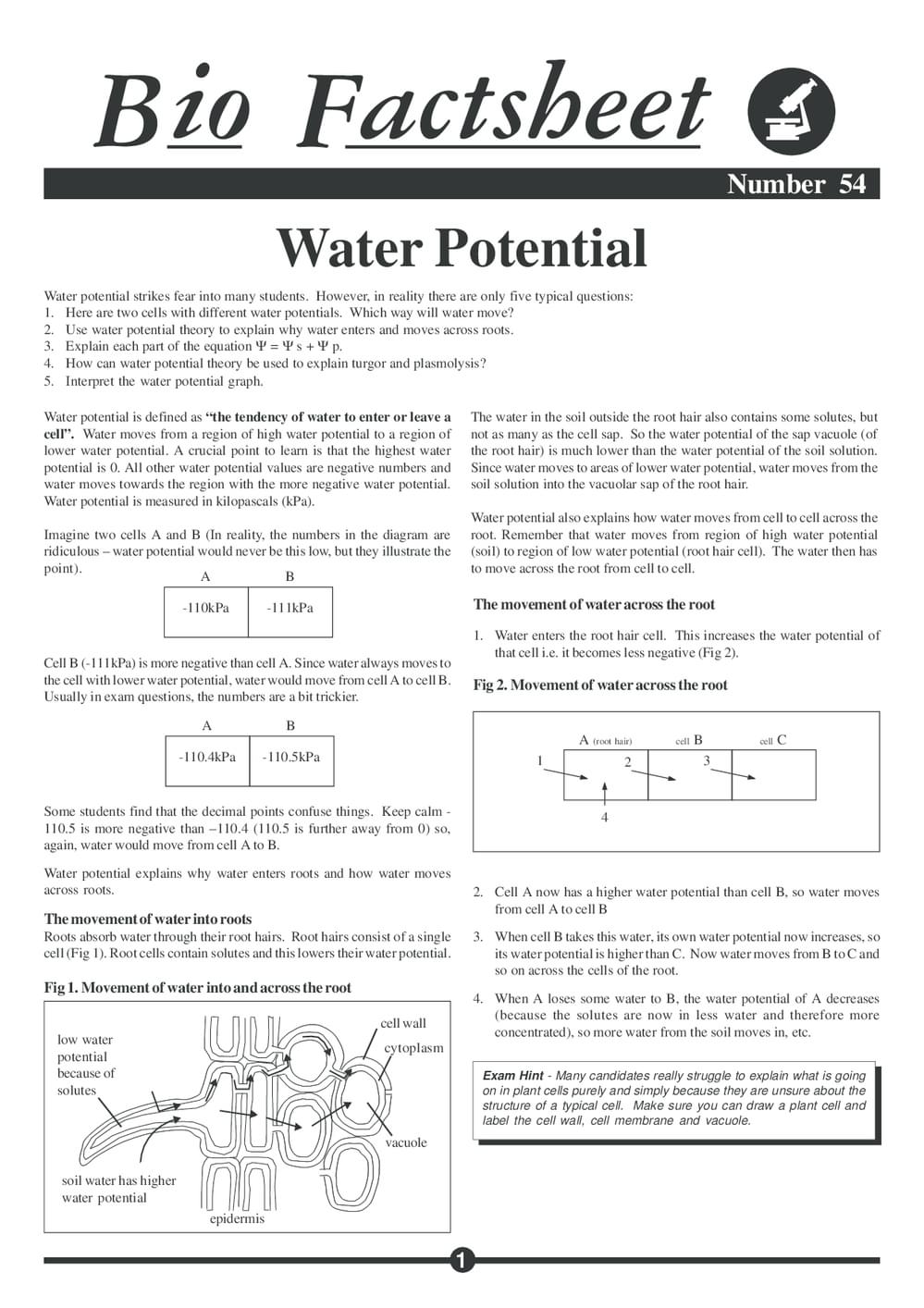 054 Water Potential