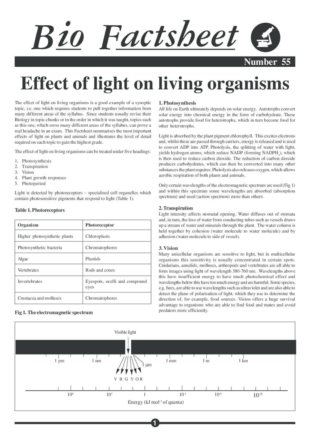 055 Light Living Org
