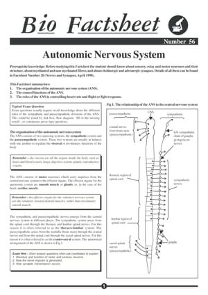 056 Auto Nerv System