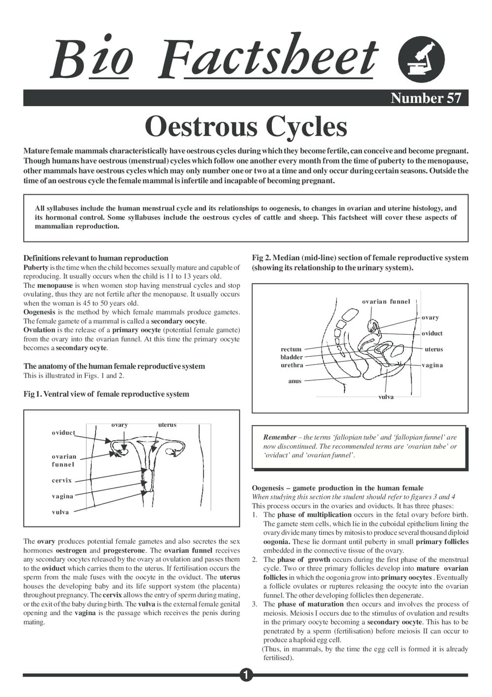 057 Oestrous Cycles