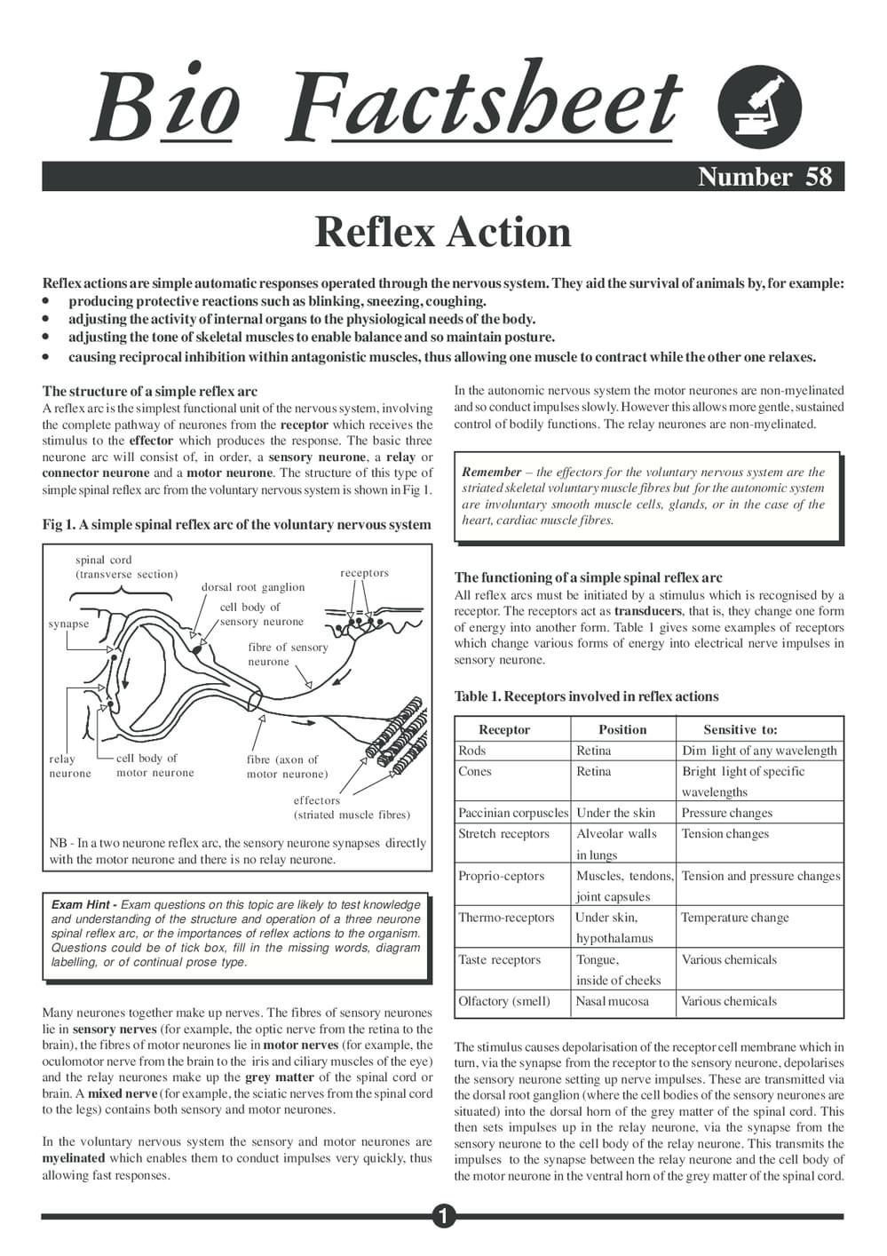 058 Reflex Action