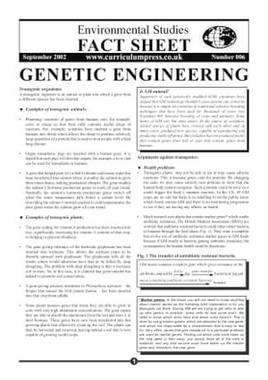 06 Genetic Engineer