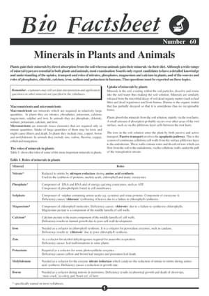 060 Mineral Plant Animal