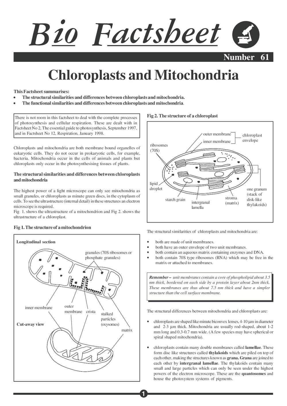 061 Chloroplast Mitoch