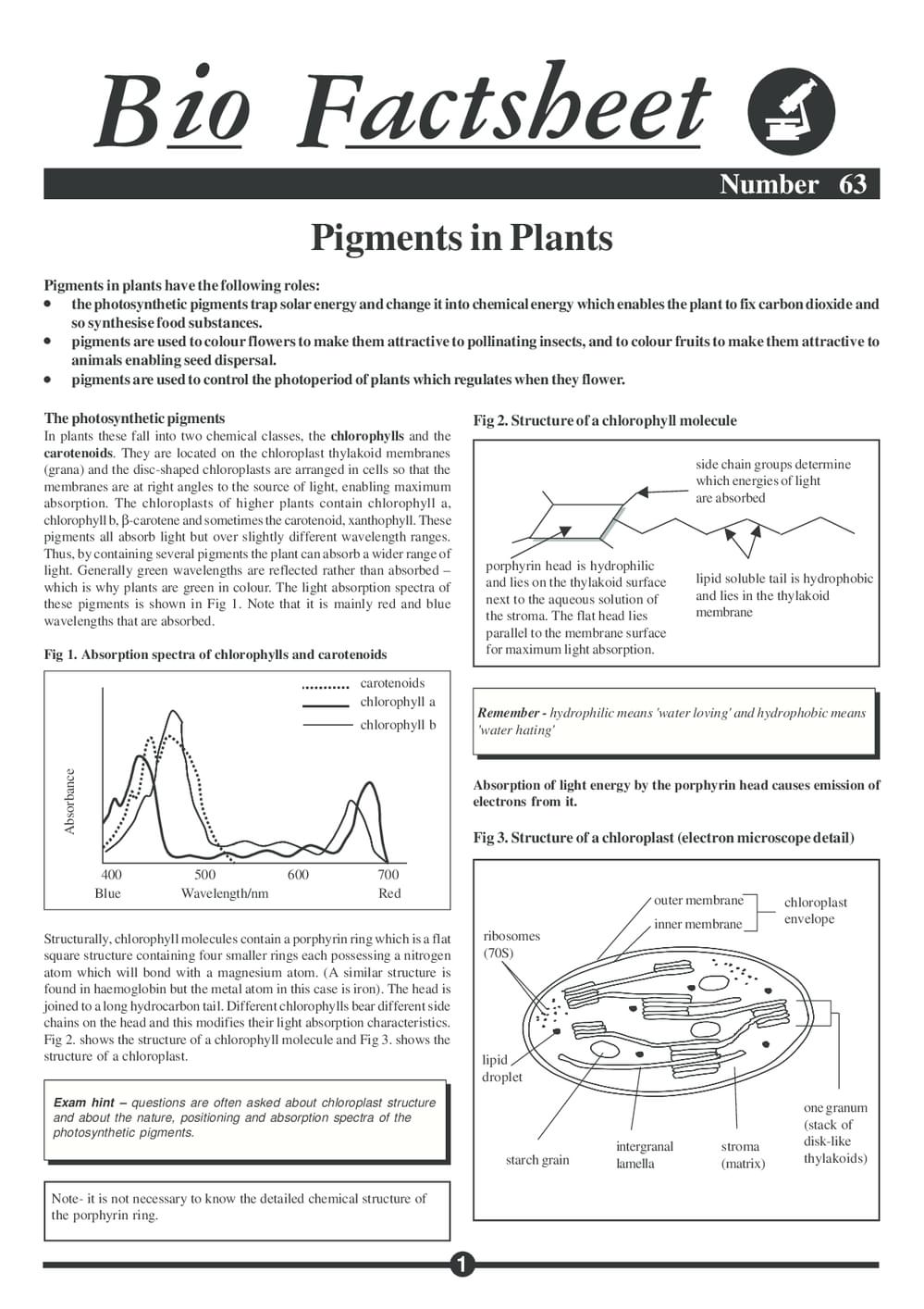 063 Pigments In Plants