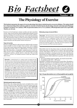 066 Physiology Exercise