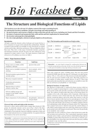 074 Struct Funct Lipids