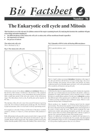 076 Eukaryotic Cell Cycle
