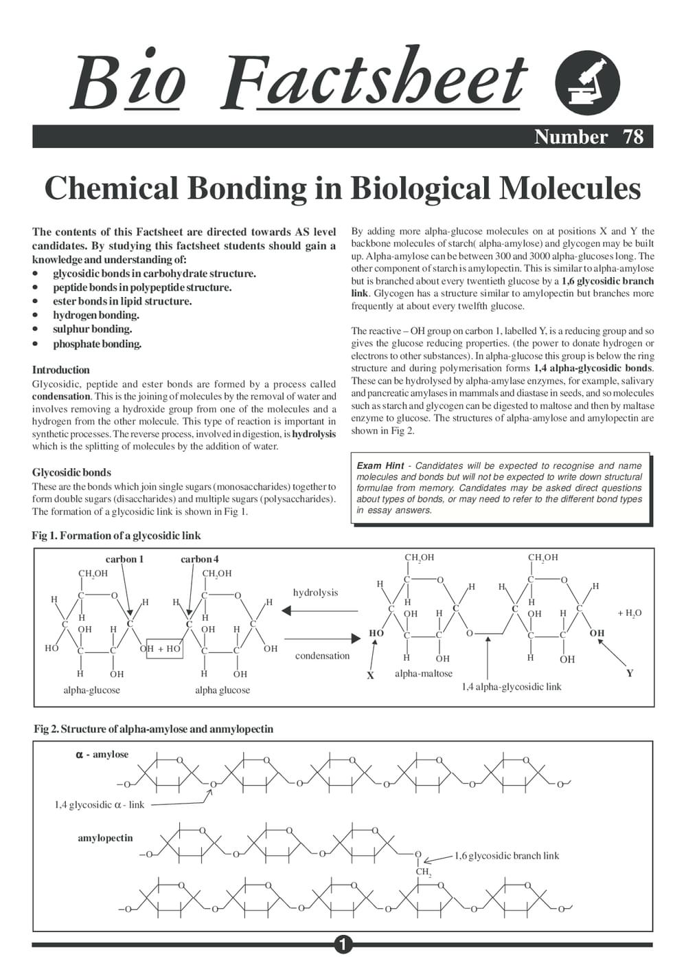 078 Chem Bonding Bio Mol