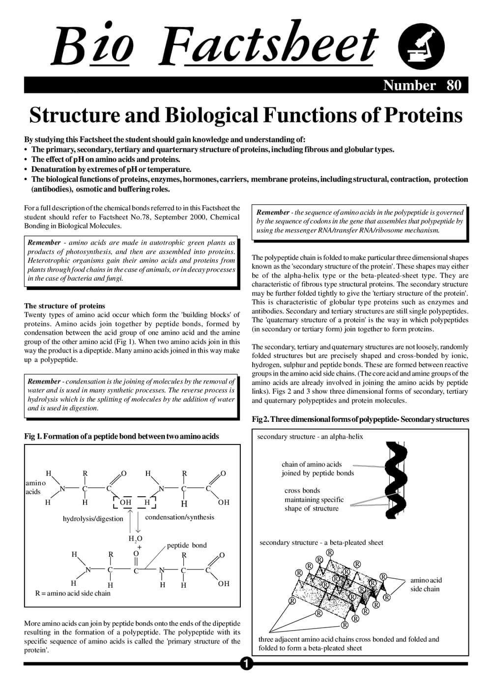 080 Struct Funct Proteins