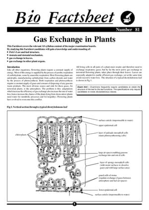 081 Gas Exchange Plants