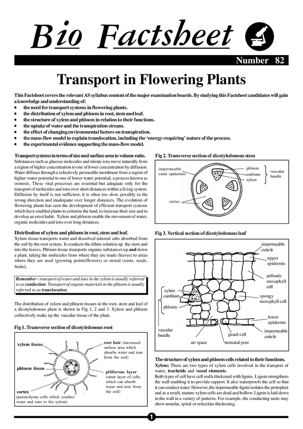 082 Transport Plants