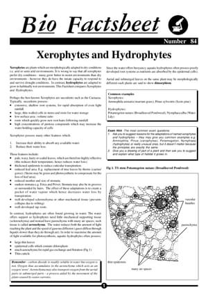 084 Xero Hydrophytes