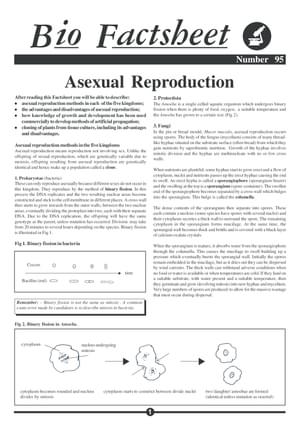 095 Asexual Repo