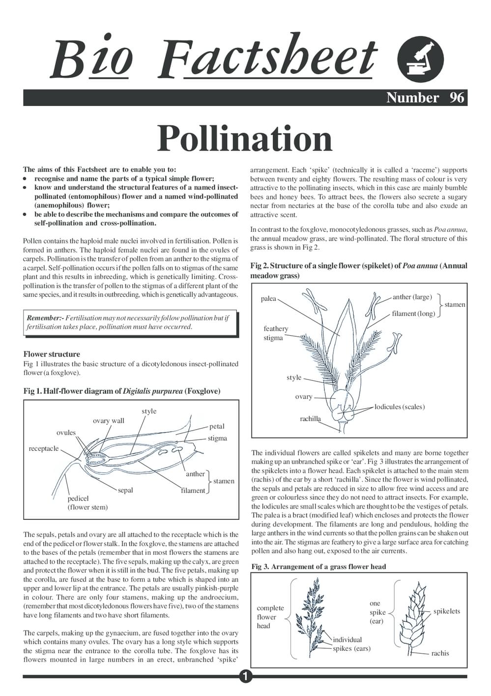 096 Pollination
