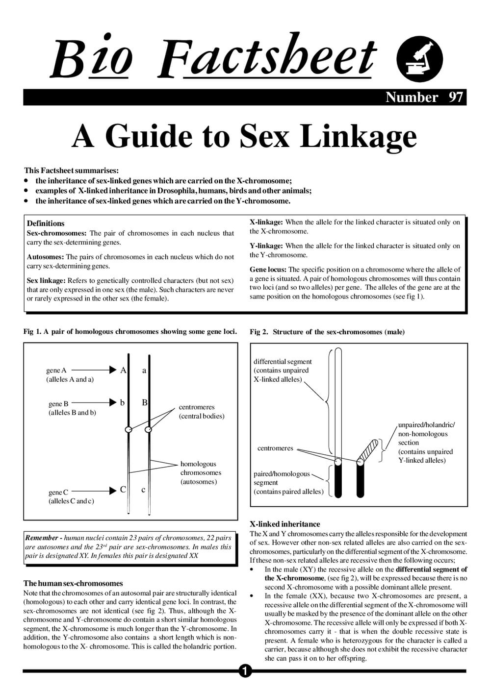 097 Sex Linkage