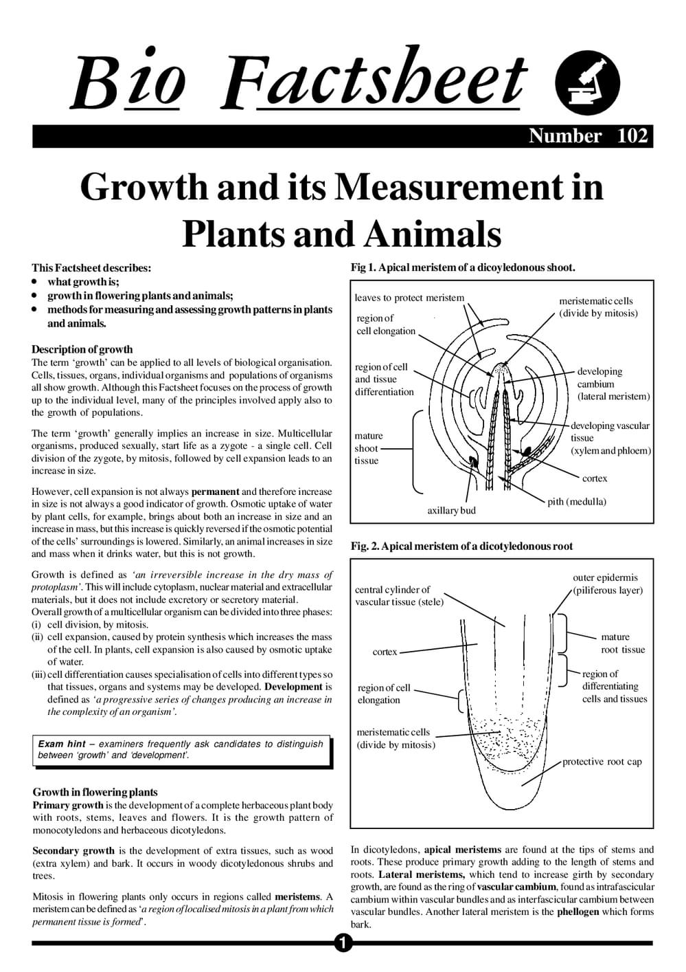 102 Growth Measu Plant Anim