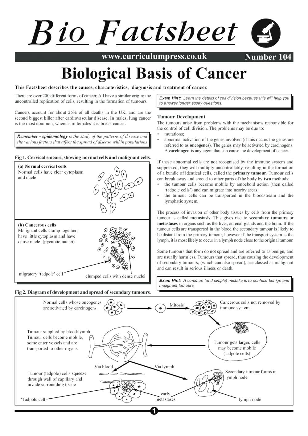 104 Bio Basis Cancer