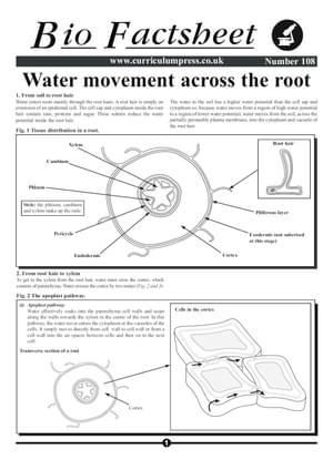 108 Water Move Root