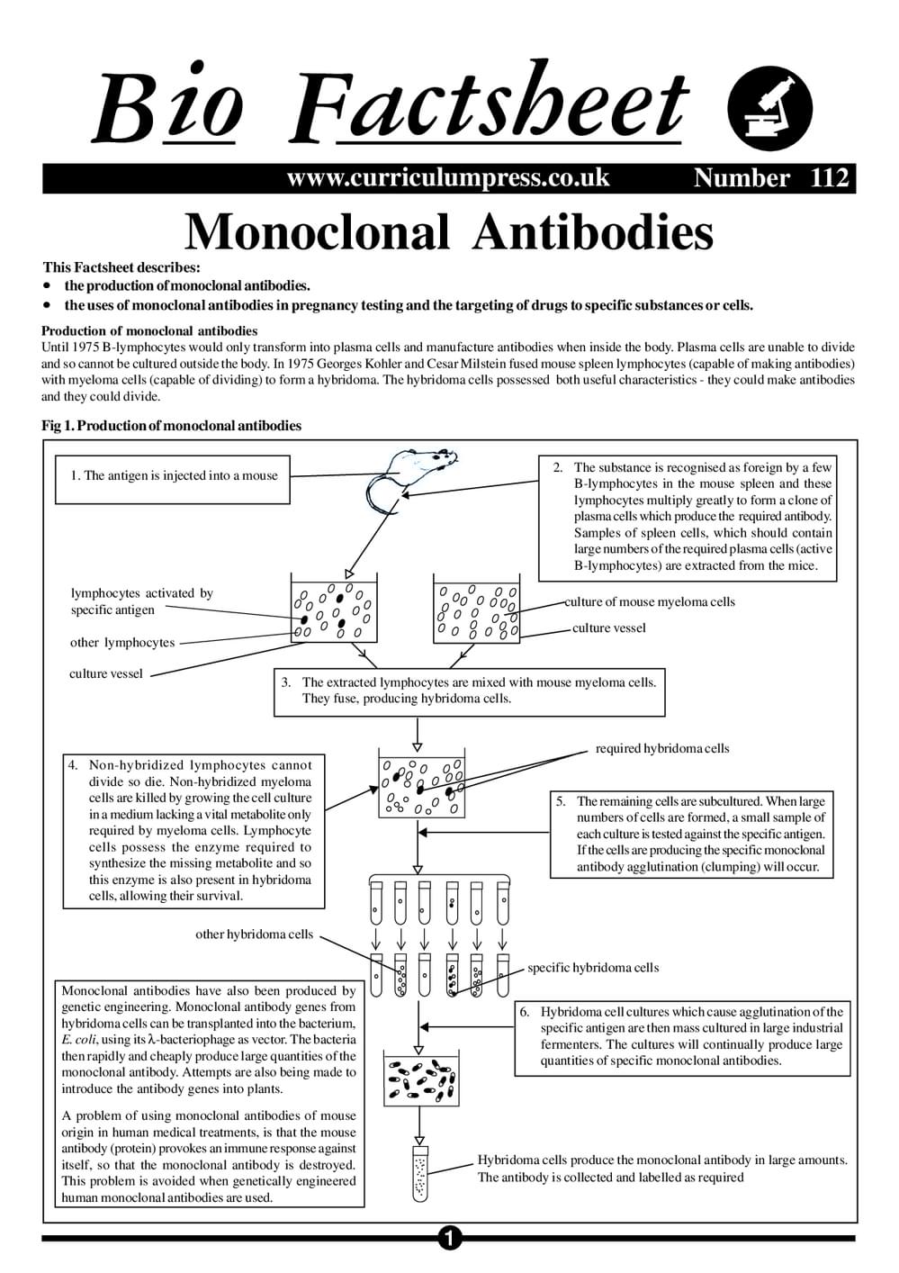 112 Monoclonal Antibod