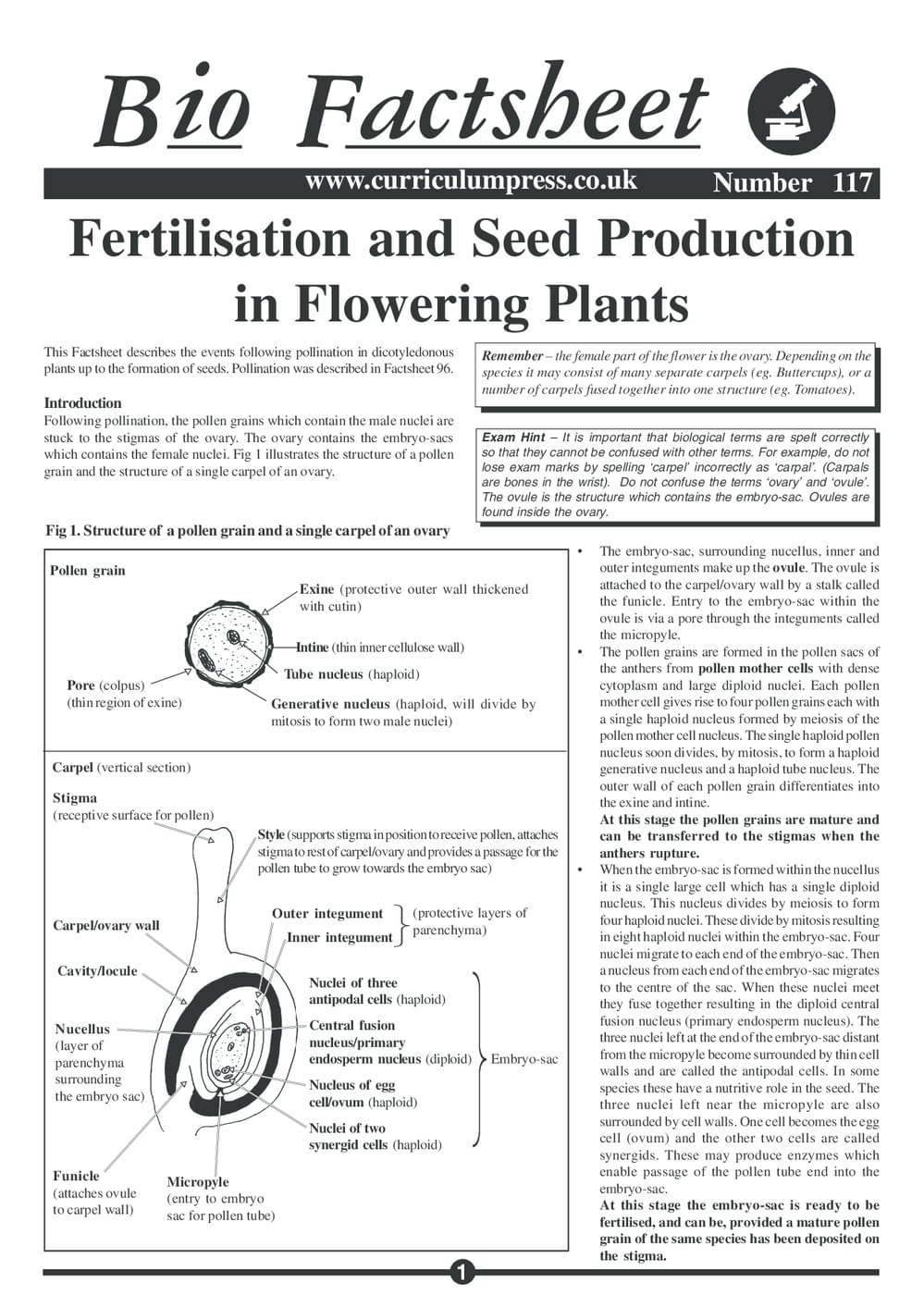 117 Fert Seed Prod F Plants