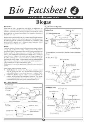 119 Biogas