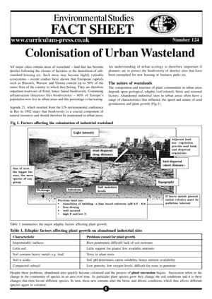 124 Col Urban Wasteland