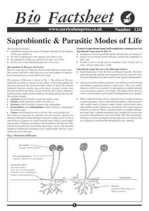 124 Parasitic Modes Life
