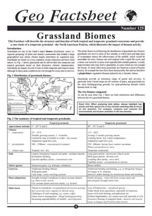 125 Grassland Biomes