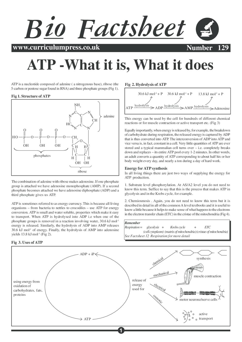 ATP – What it is, what it does - Curriculum Press