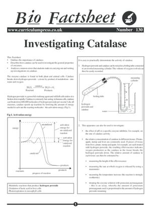 130 Investigating Catalatse