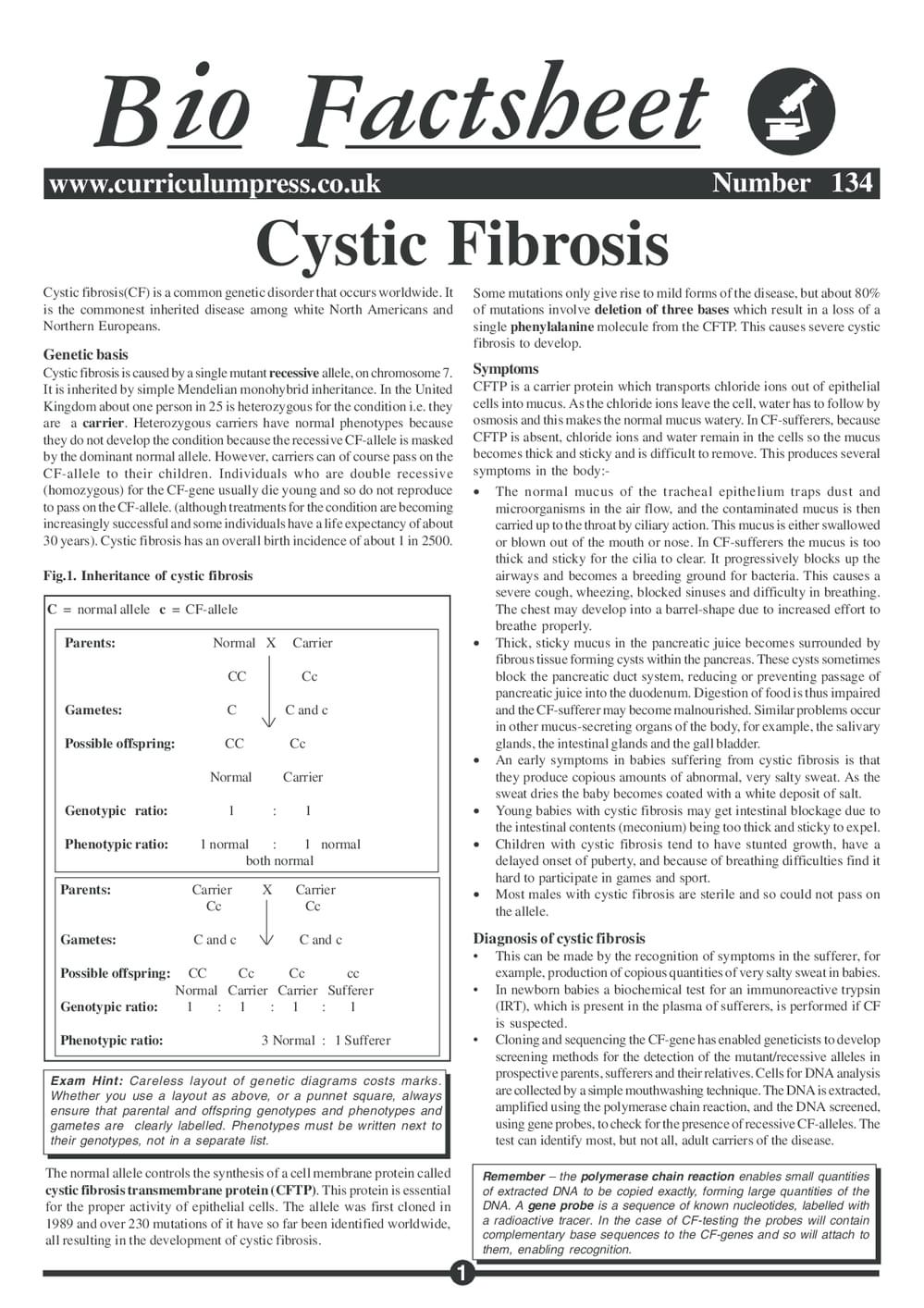 134 Cystic Fibrosis