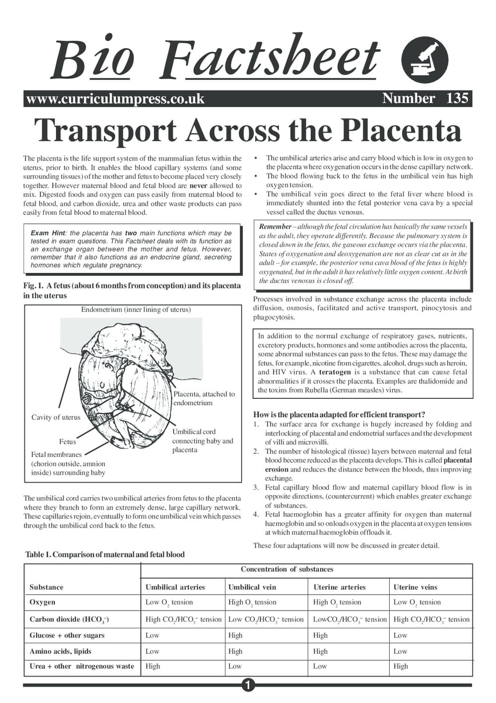135 Placenta Transport