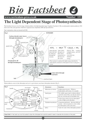 153 Lds Photosynthesis