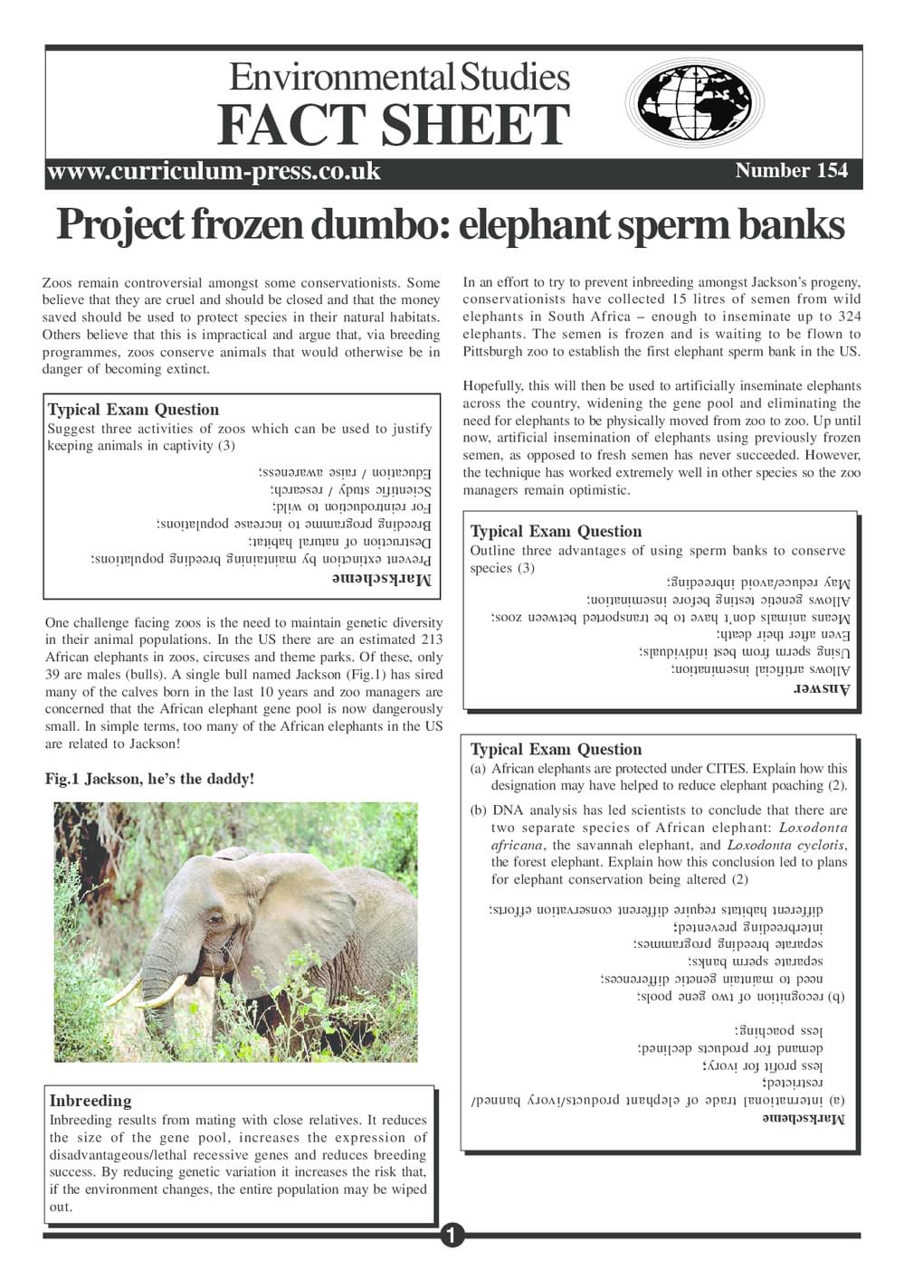 154 Project Dumbo
