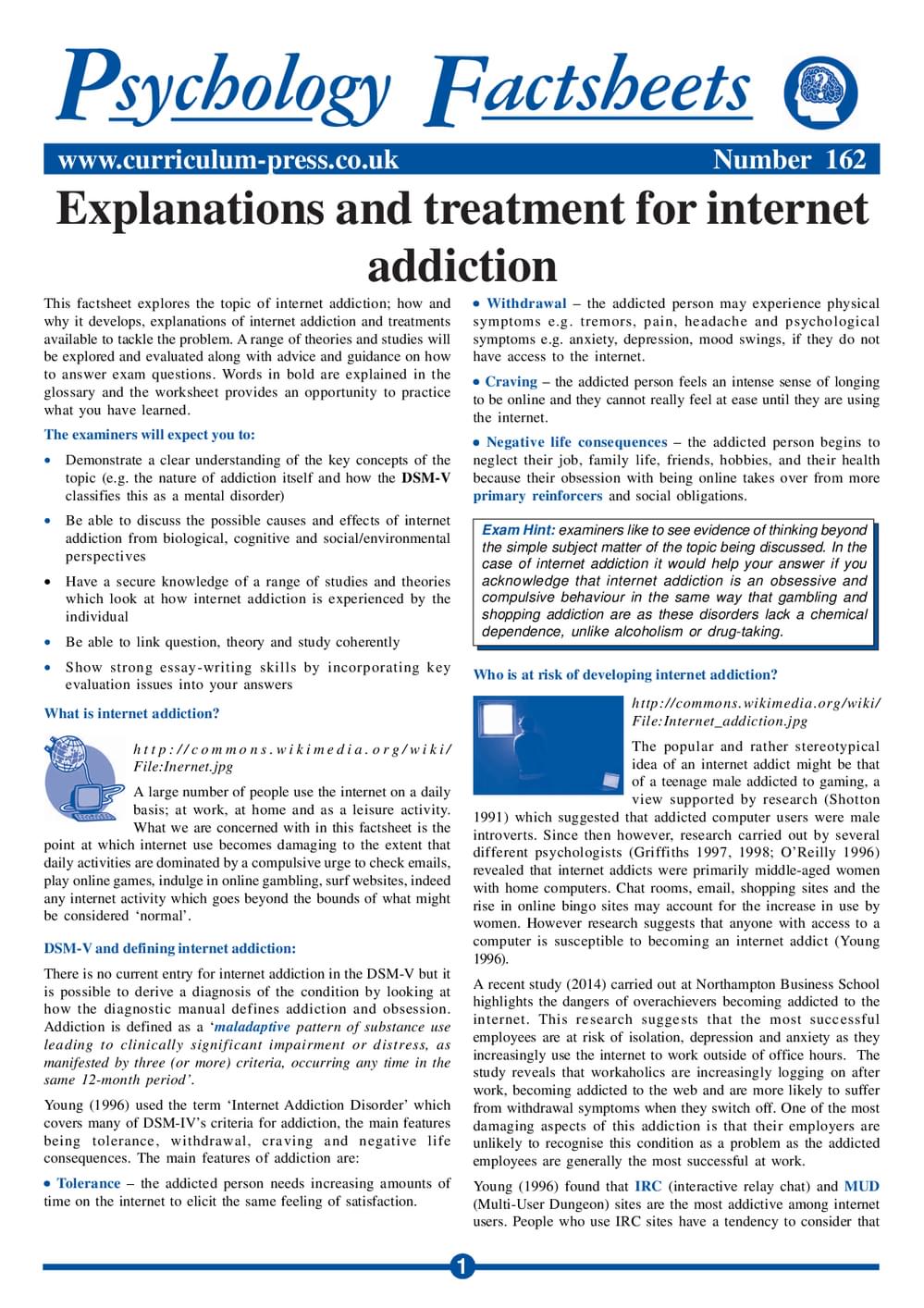 162 Explanations And Treatment For Internet Addiction