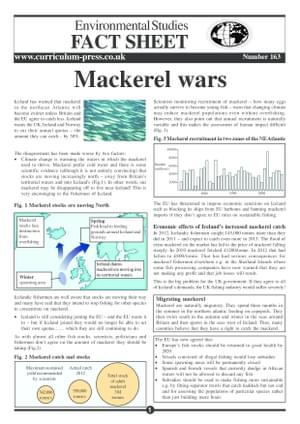 163 Mackerel Wars