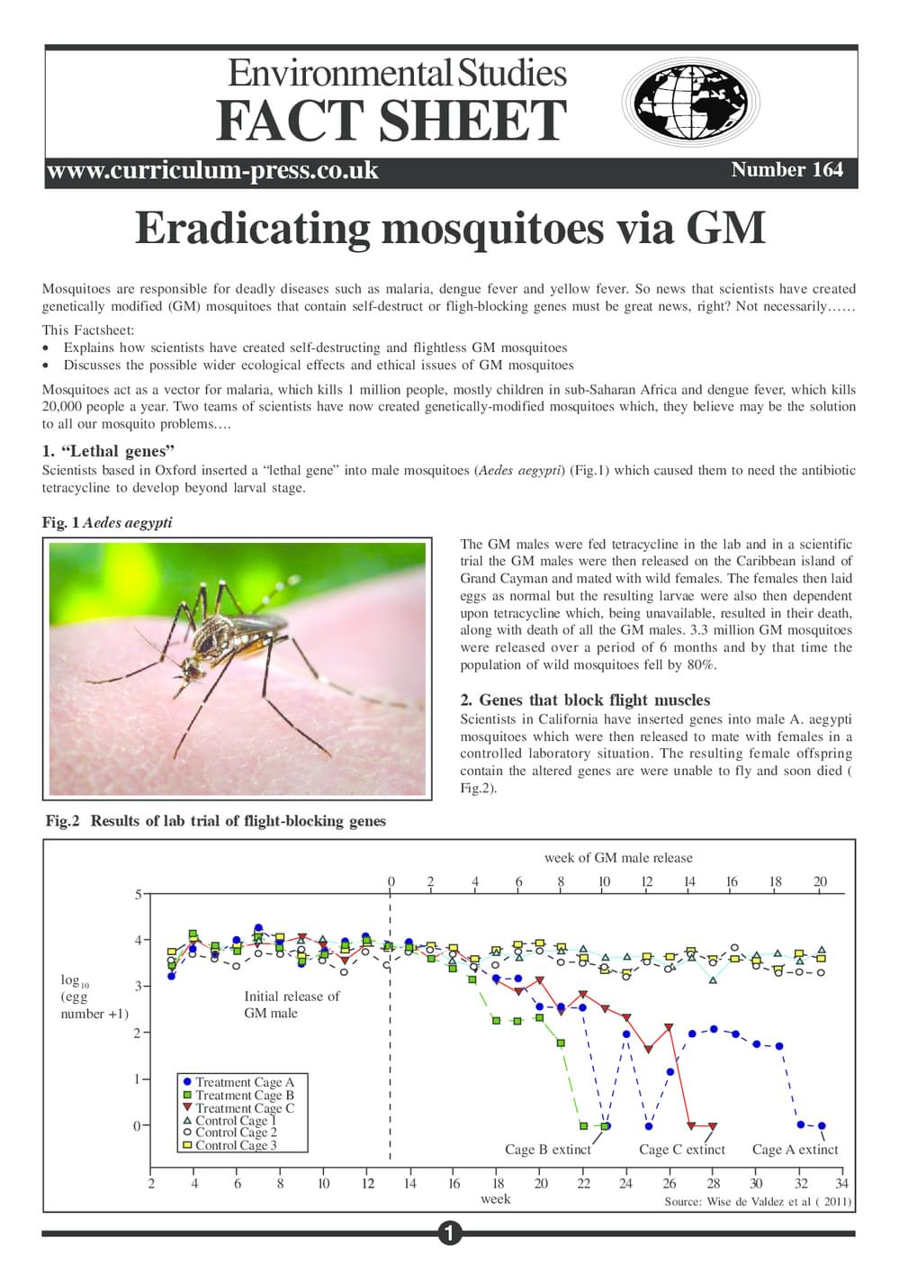 164 Gm Mosquitos