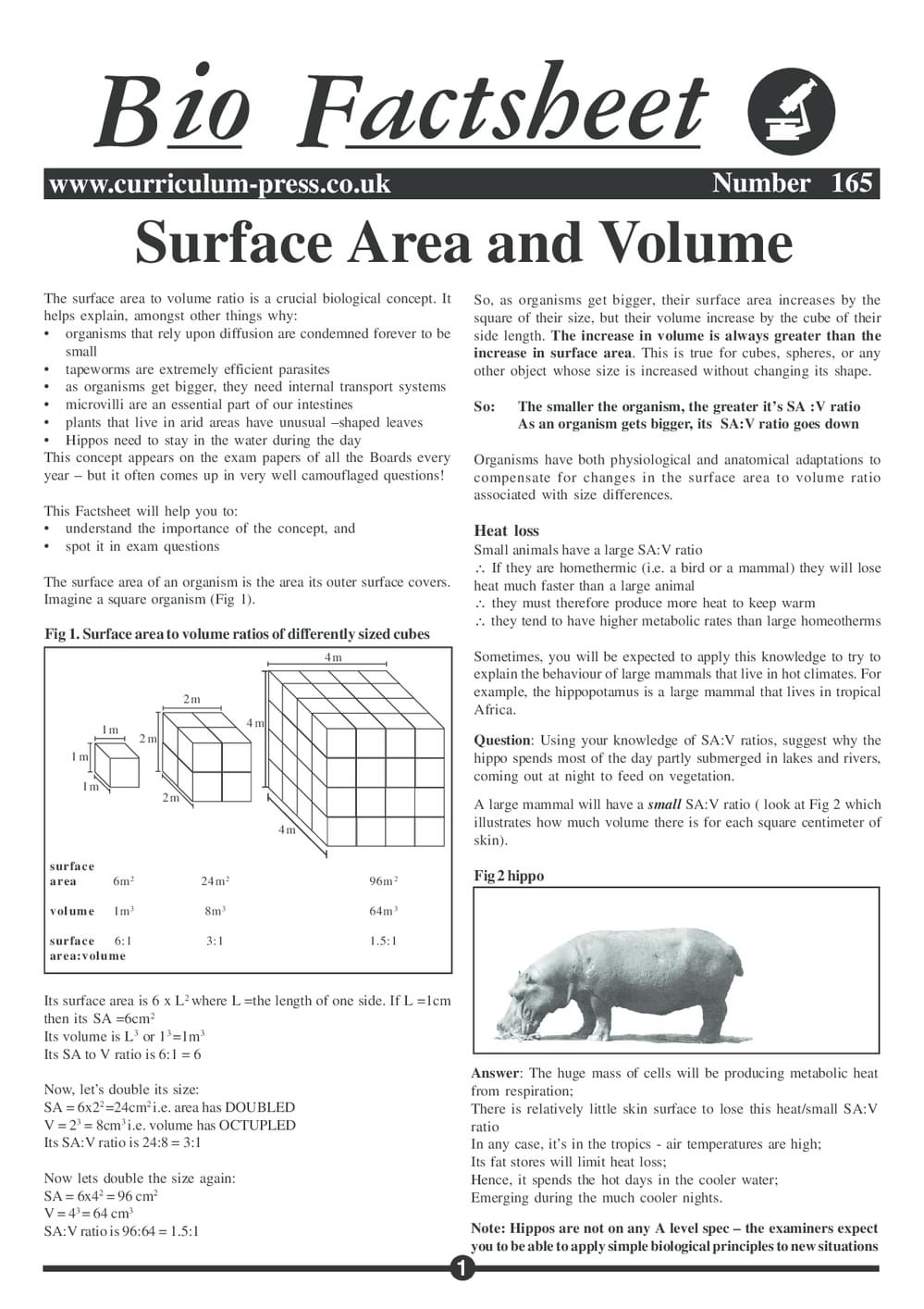 165 Surface Area Volume