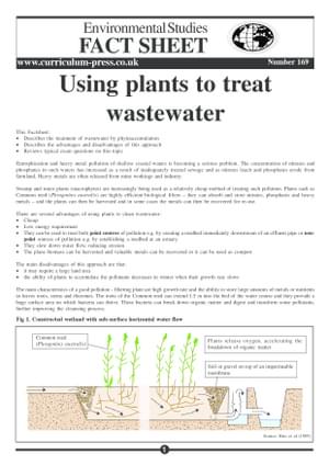 169 Plants To Treat Wastewater